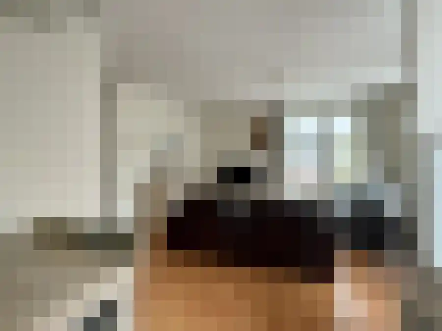 Beukenbos 28 Bladel thumbnail 6