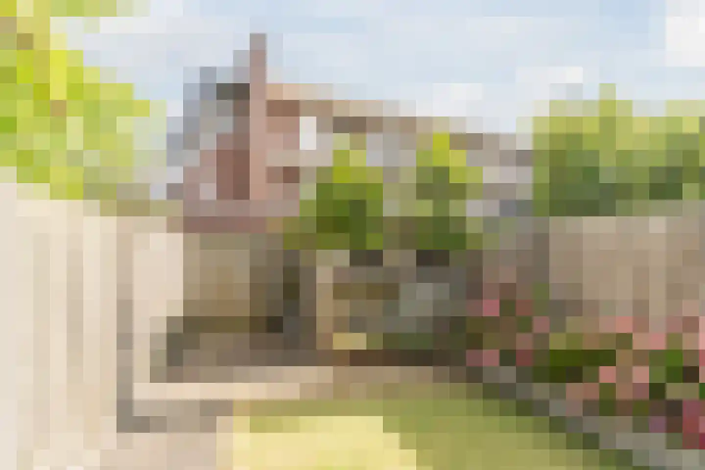 Beukenbos 48 Bladel thumbnail 35