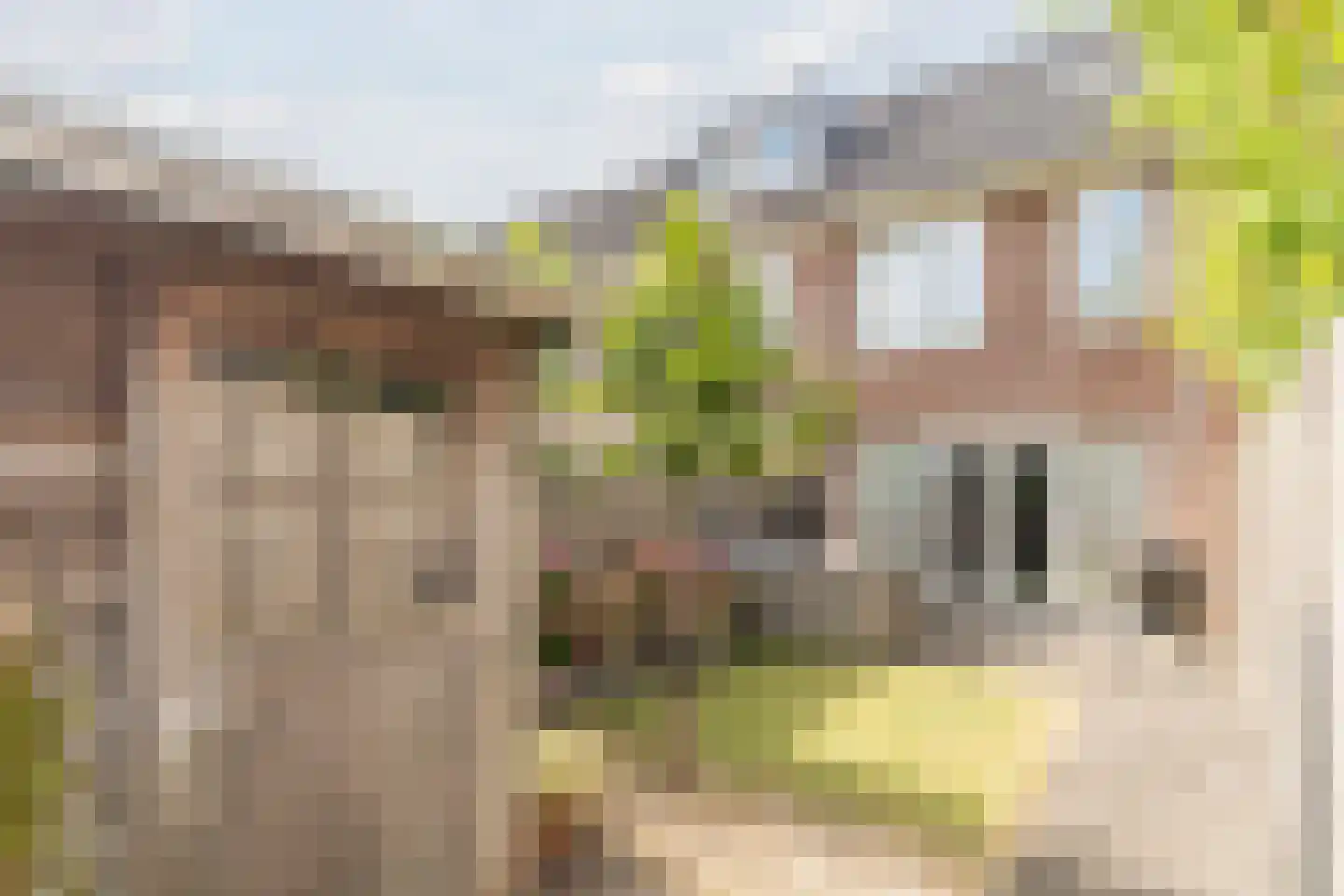 Beukenbos 48 Bladel thumbnail 38