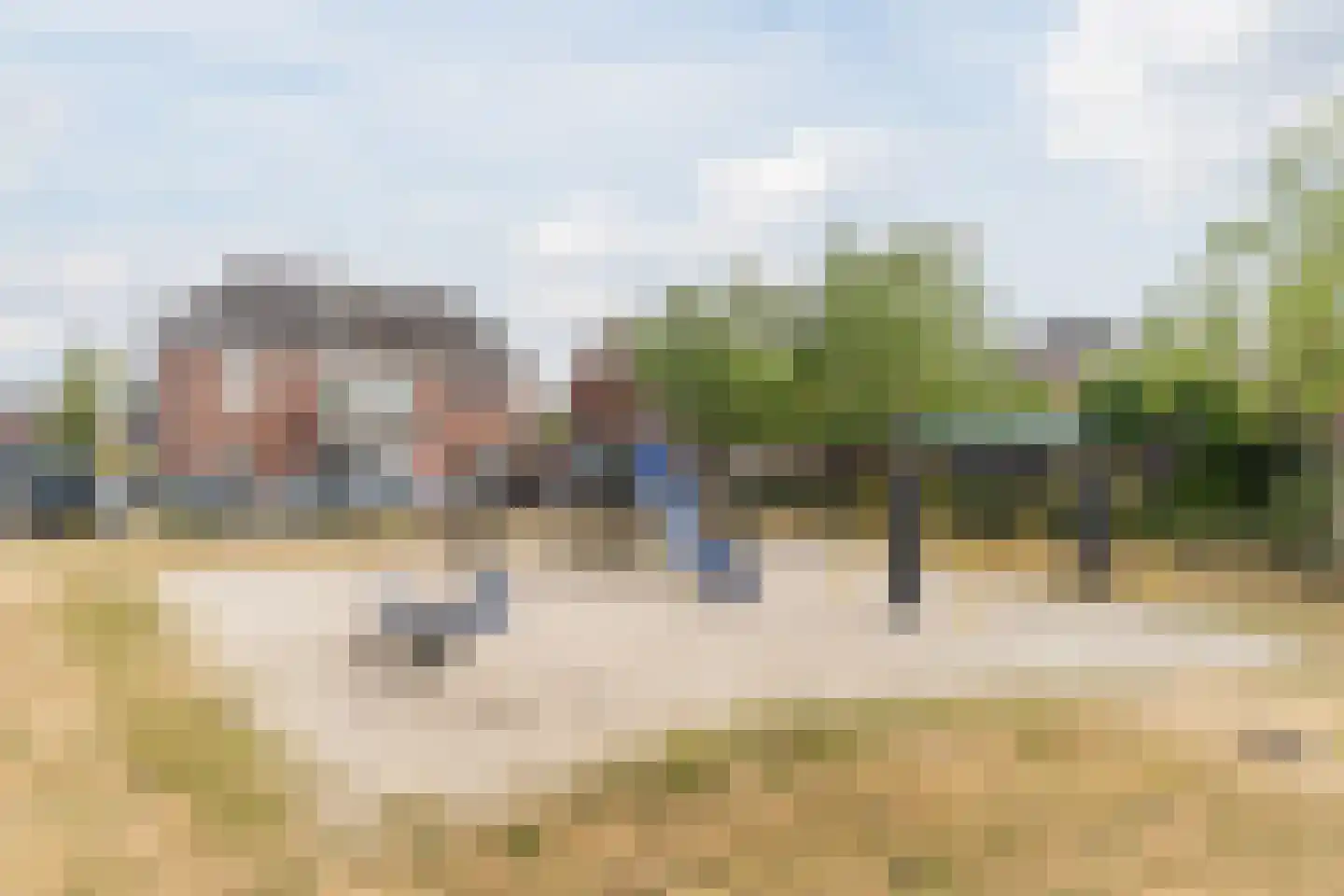 Beukenbos 48 Bladel thumbnail 46