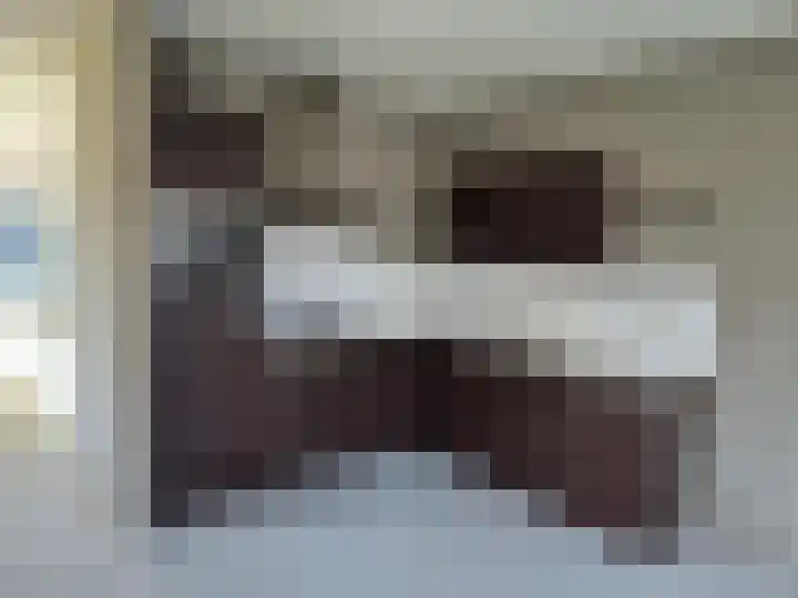 Beukenbos 58 Bladel thumbnail 4