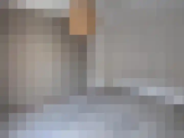 Beukenbos 58 Bladel thumbnail 6