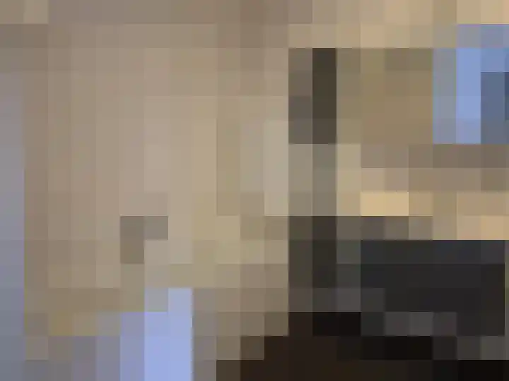 Beukenbos 58 Bladel thumbnail 7