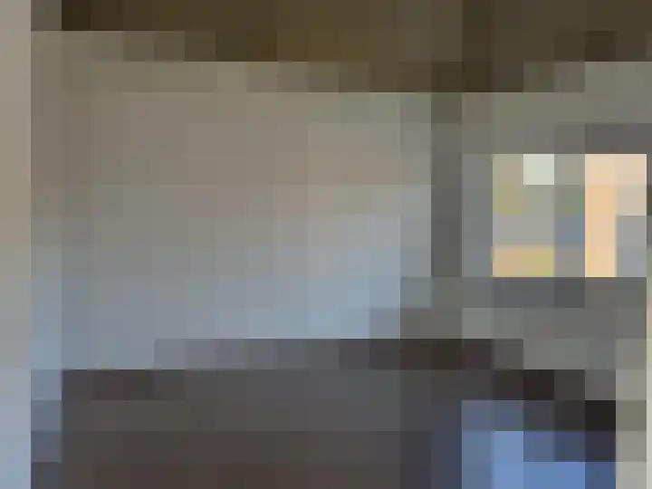 Beukenbos 58 Bladel thumbnail 8