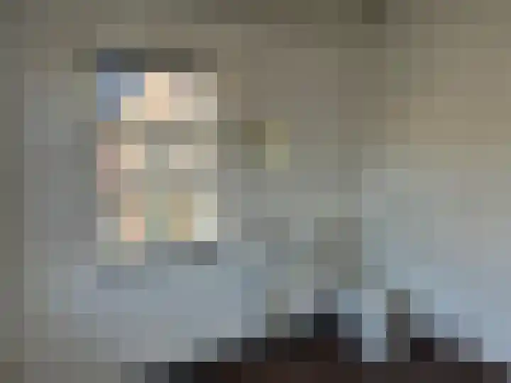 Beukenbos 58 Bladel thumbnail 9