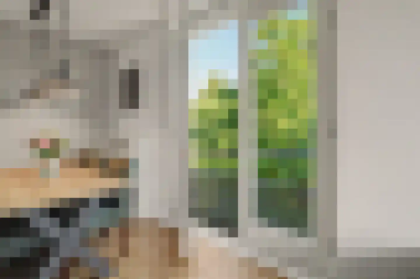 Beukenbos 61 Bladel thumbnail 18