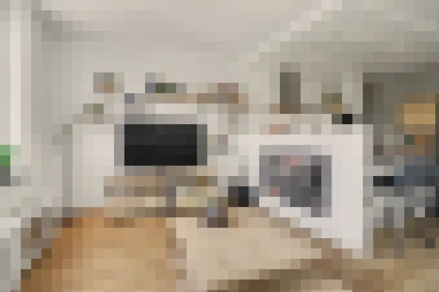 Beukenbos 61 Bladel thumbnail 22