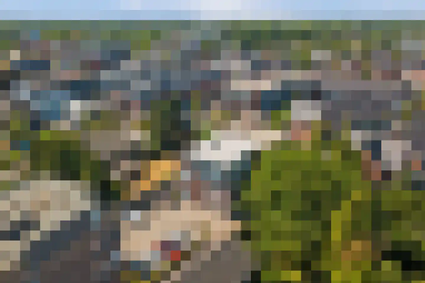 Beukenbos 61 Bladel thumbnail 36