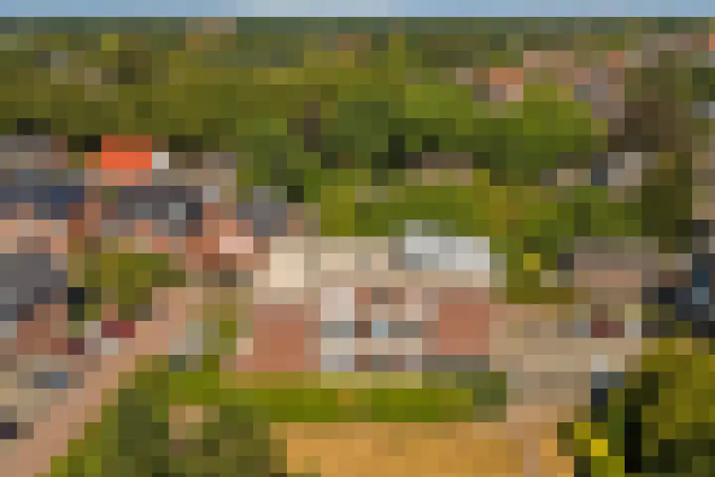 Beukenbos 61 Bladel thumbnail 37