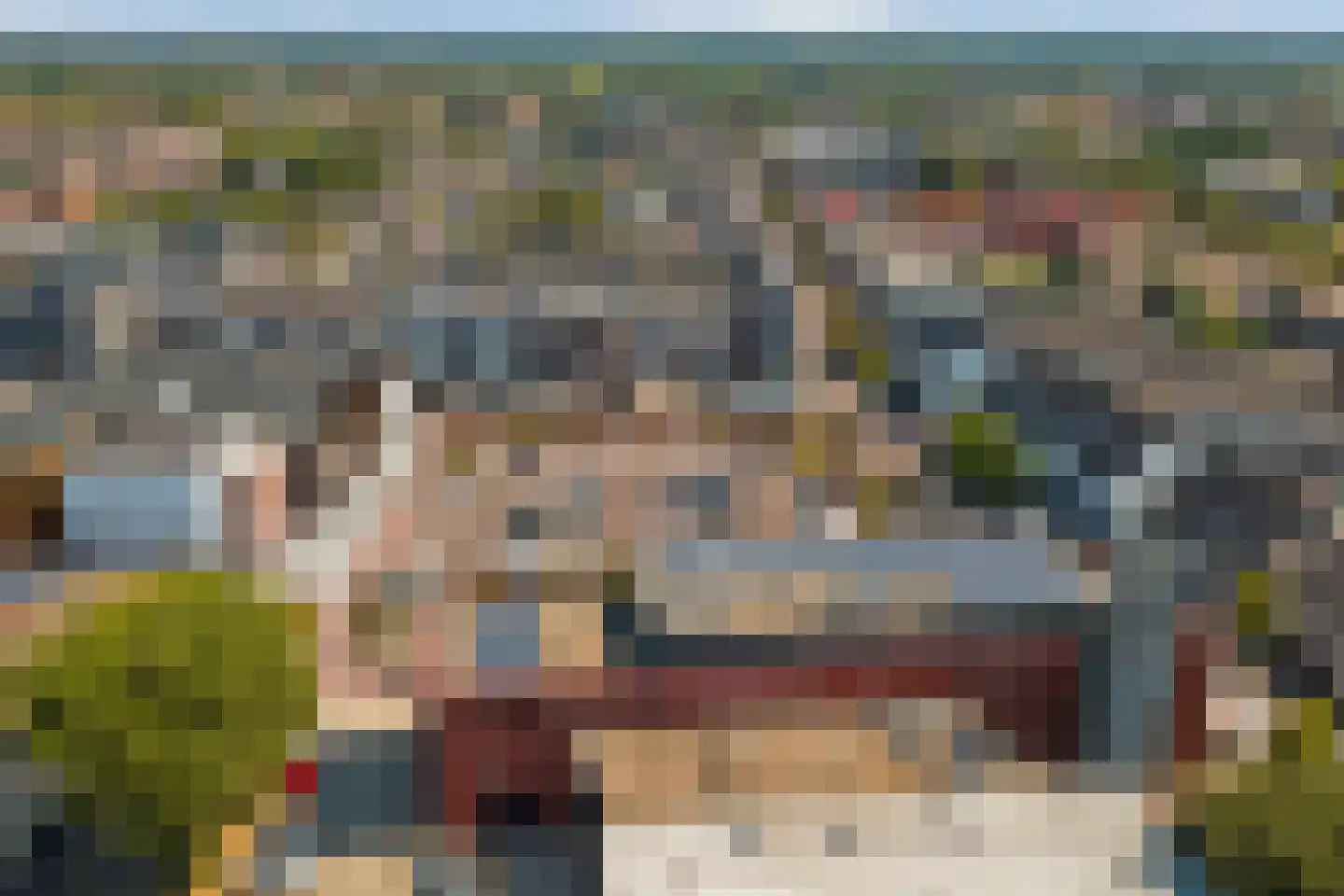 Beukenbos 61 Bladel thumbnail 38
