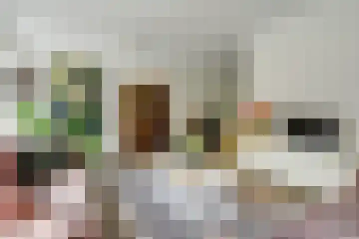 Beukenbos 75 Bladel thumbnail 12