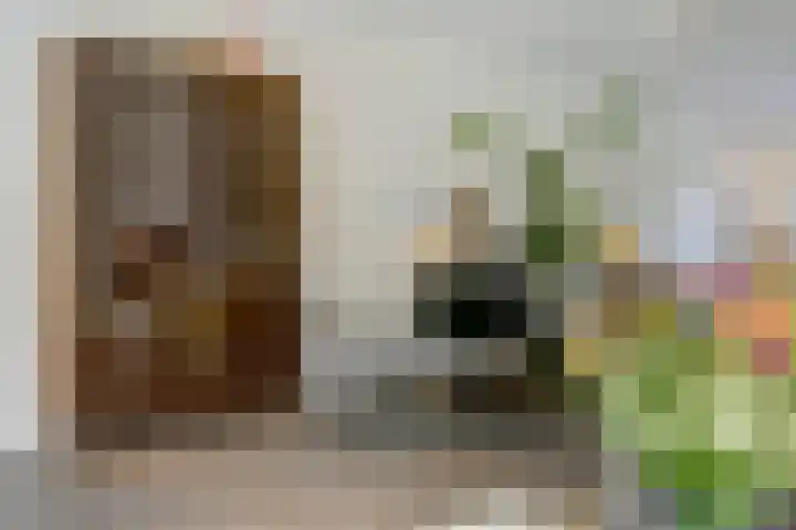 Beukenbos 75 Bladel thumbnail 13