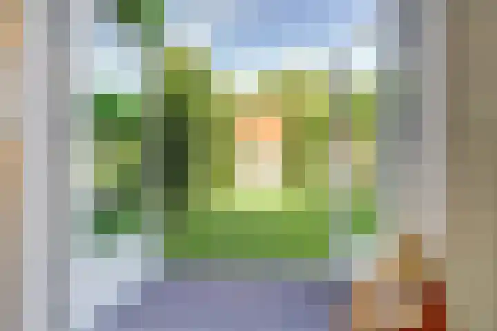 Beukenbos 75 Bladel thumbnail 19