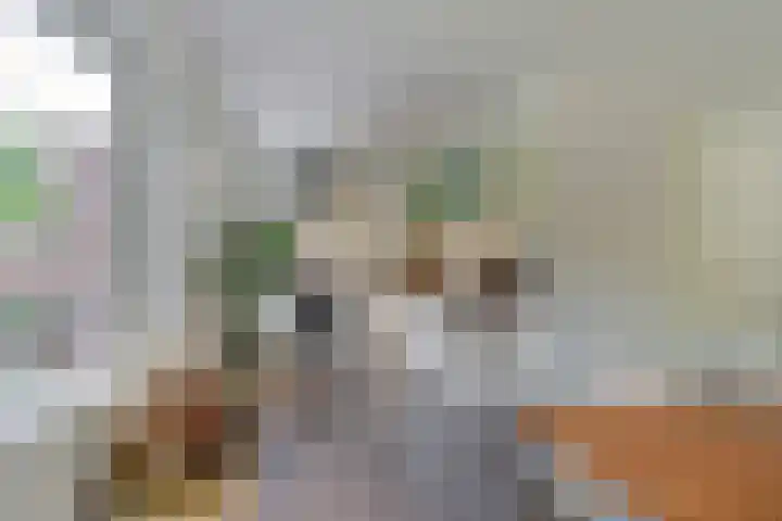 Beukenbos 75 Bladel thumbnail 21