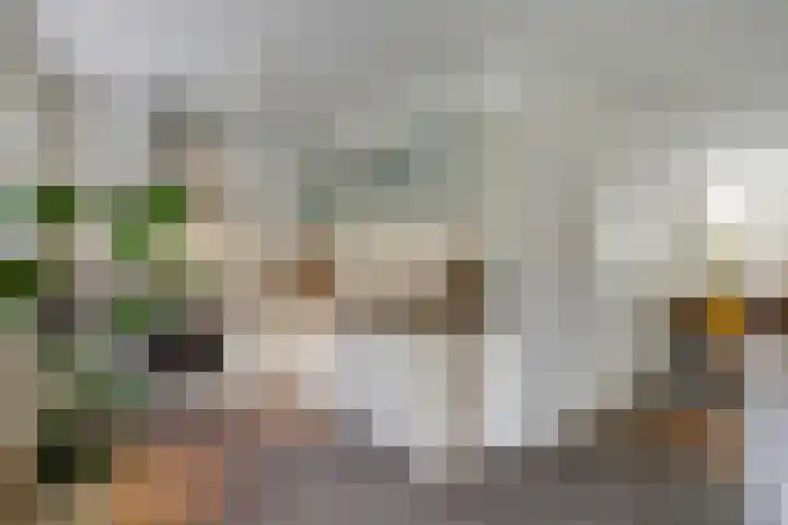 Beukenbos 75 Bladel thumbnail 23