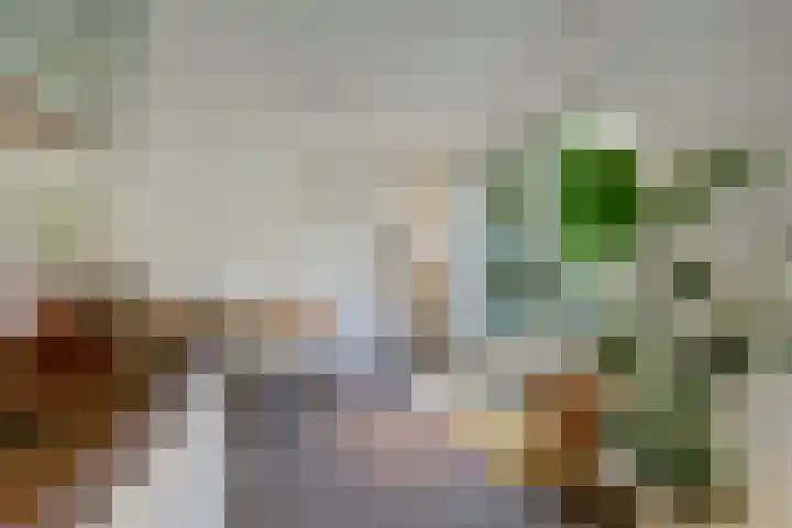 Beukenbos 75 Bladel thumbnail 24