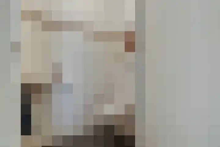 Beukenbos 75 Bladel thumbnail 25