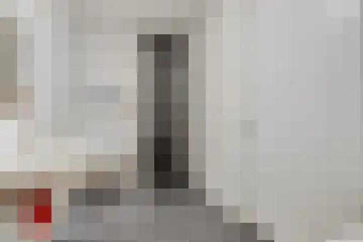 Beukenbos 75 Bladel thumbnail 34