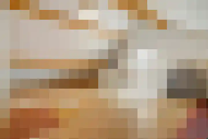Beukenbos 75 Bladel thumbnail 39