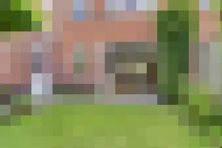 Beukenbos 75 Bladel thumbnail 41