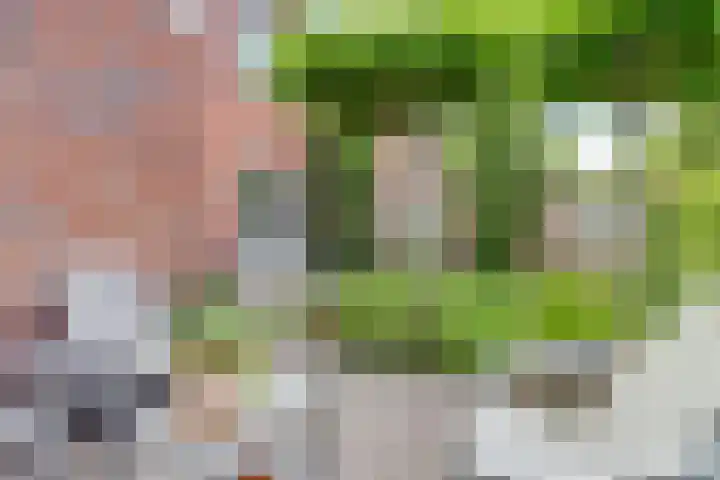 Beukenbos 75 Bladel thumbnail 43