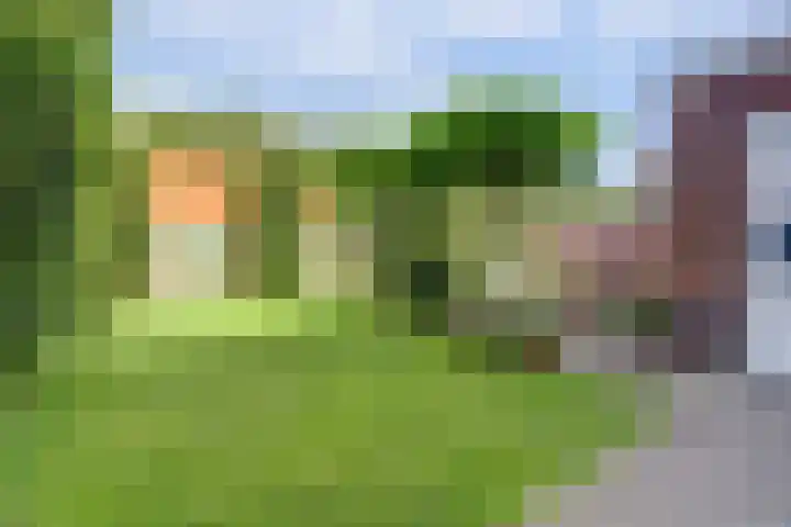 Beukenbos 75 Bladel thumbnail 44