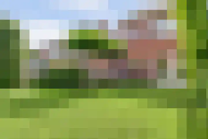 Beukenbos 75 Bladel thumbnail 47