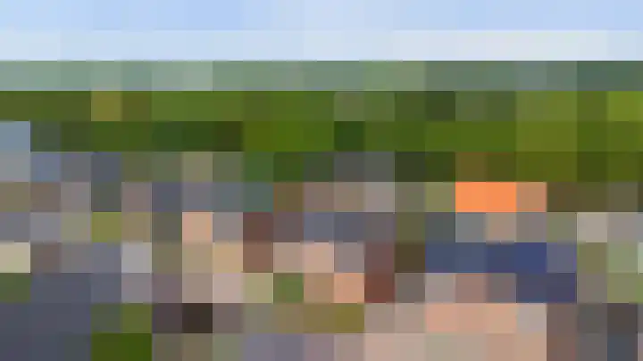 Beukenbos 75 Bladel thumbnail 5