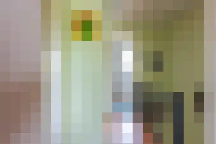 Beukenbosweg 15 A Kerkrade thumbnail 12
