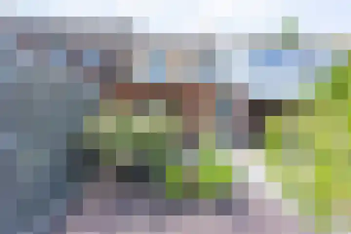 Beukenbosweg 15 A Kerkrade thumbnail 18