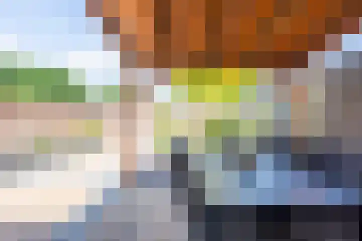 Beukenbosweg 15 A Kerkrade thumbnail 20