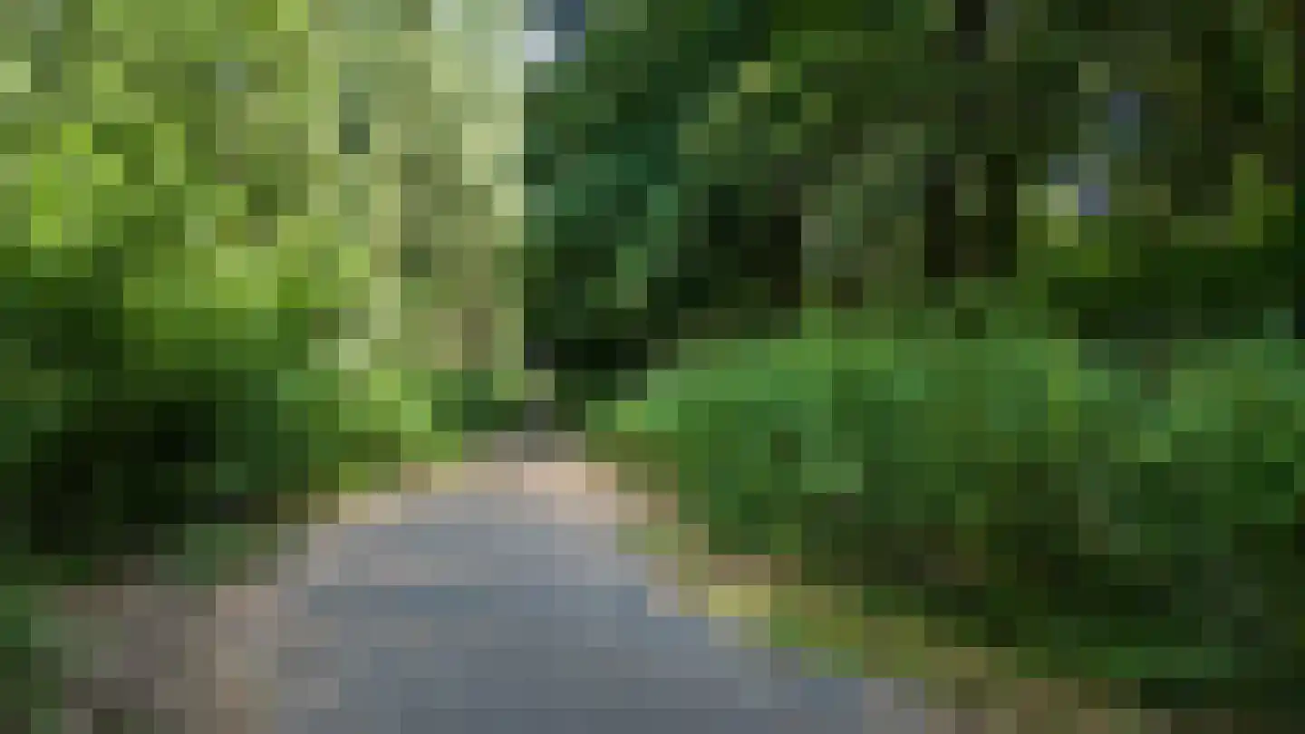 Beukenbosweg 15 Kerkrade thumbnail 23