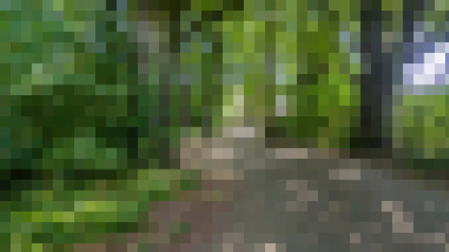 Beukenbosweg 15 Kerkrade thumbnail 24