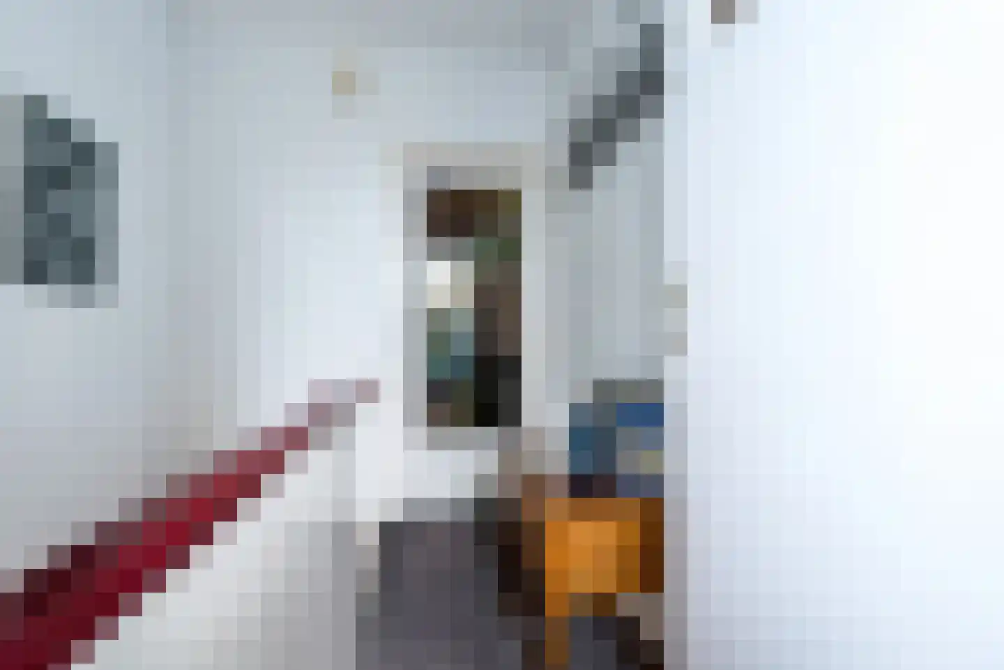 Beukenbosweg 15 Kerkrade thumbnail 8