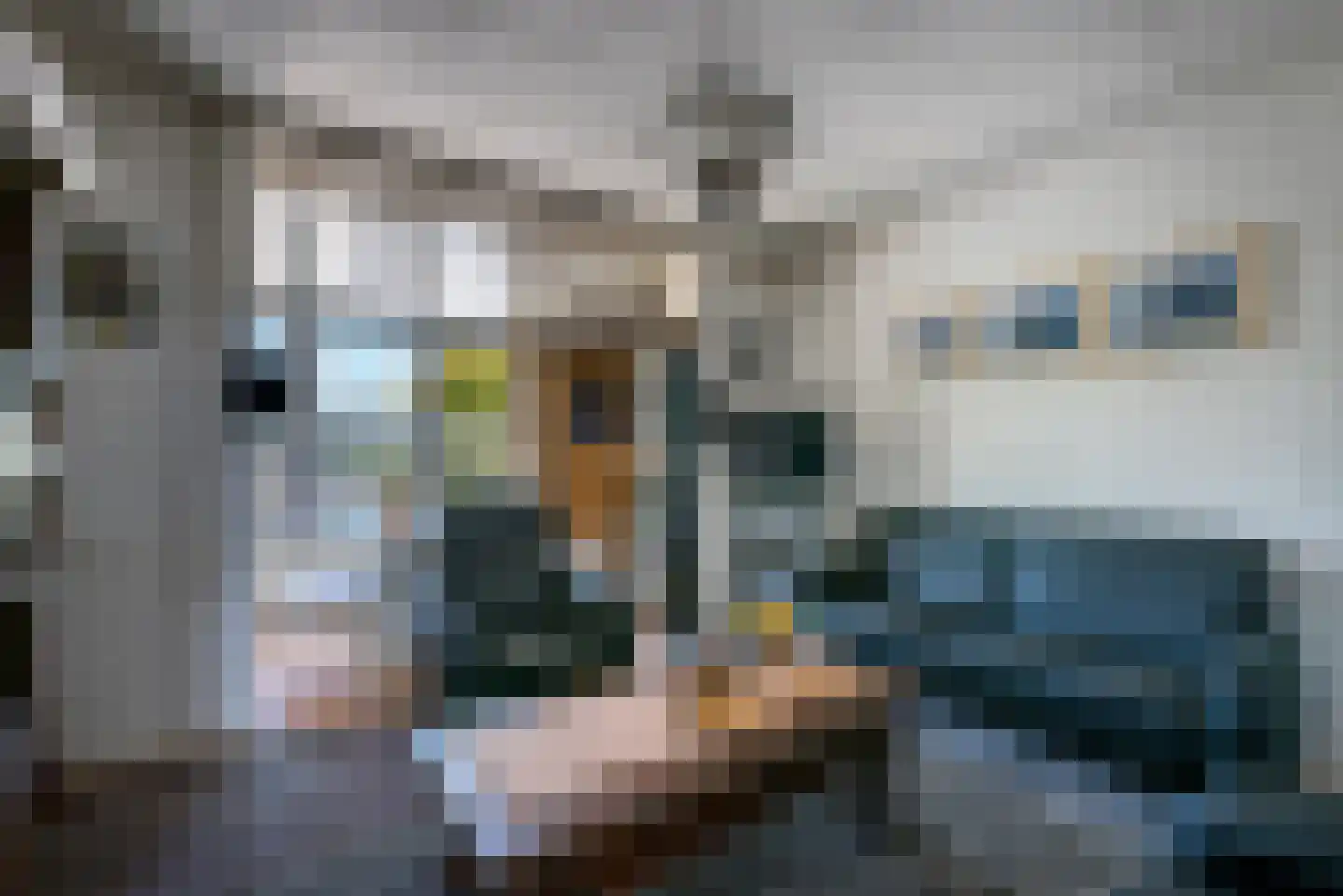 Beukenbosweg 15 Kerkrade thumbnail 9