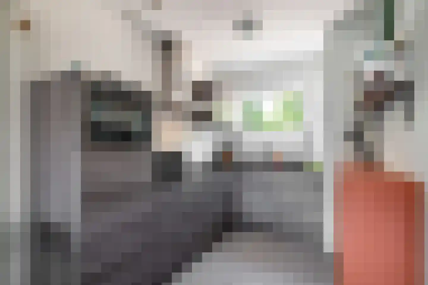 Beukenbosweg 18 Kerkrade thumbnail 10