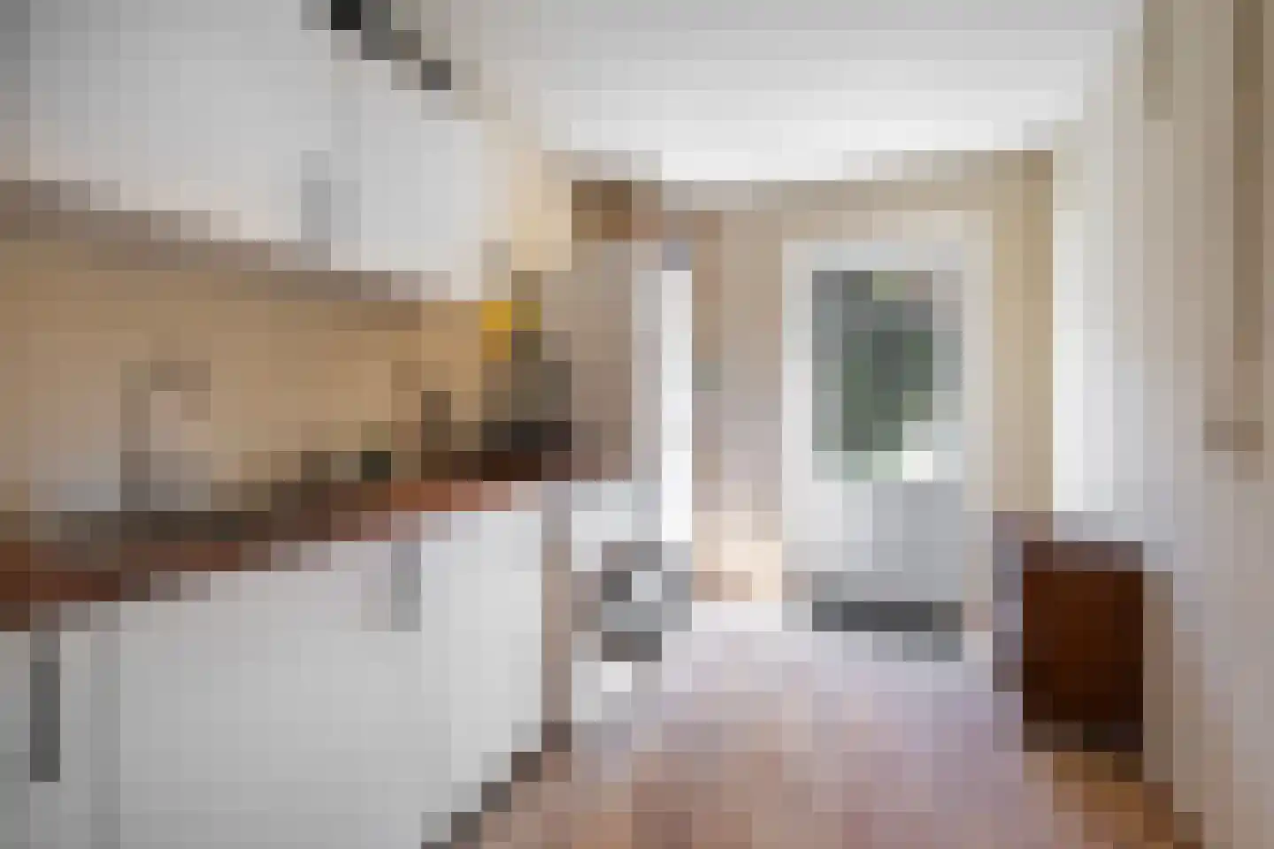 Beukenbosweg 18 Kerkrade thumbnail 19