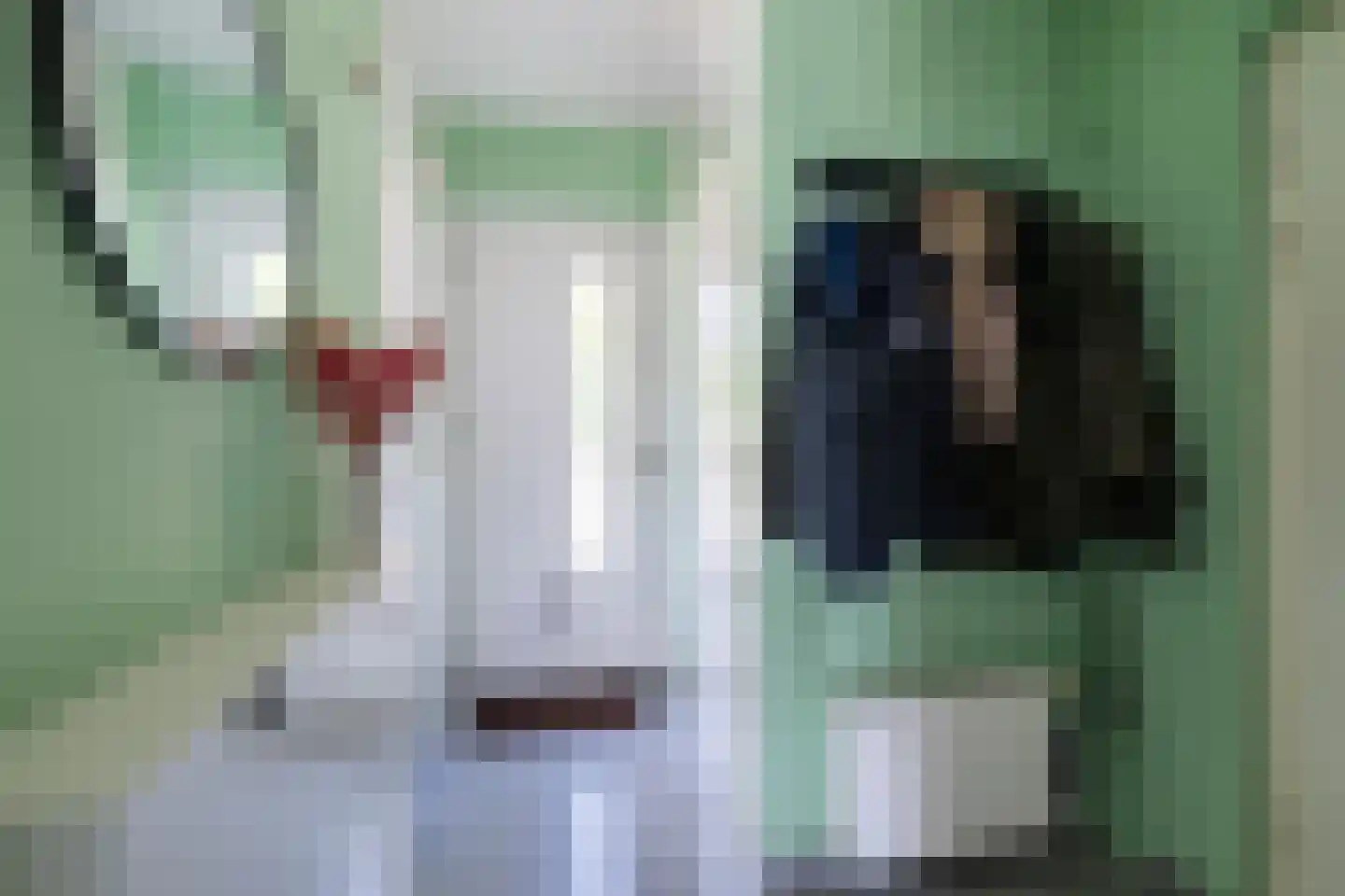 Beukenbosweg 18 Kerkrade thumbnail 5