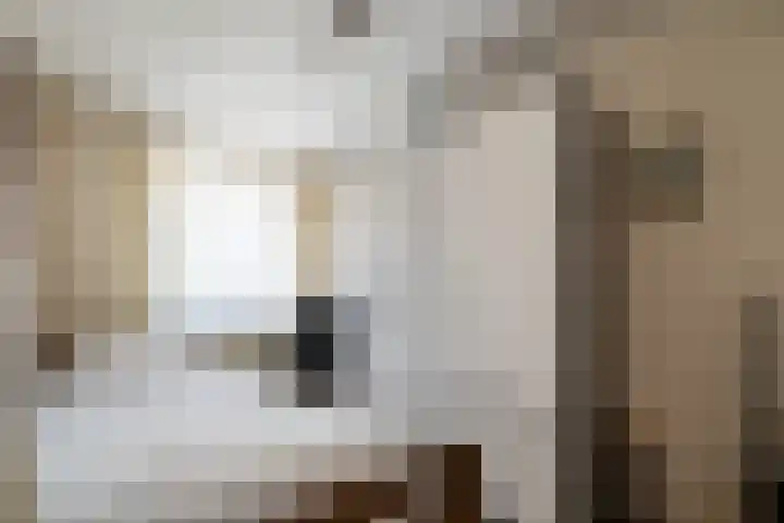 Beukenbosweg 60 Kerkrade thumbnail 13
