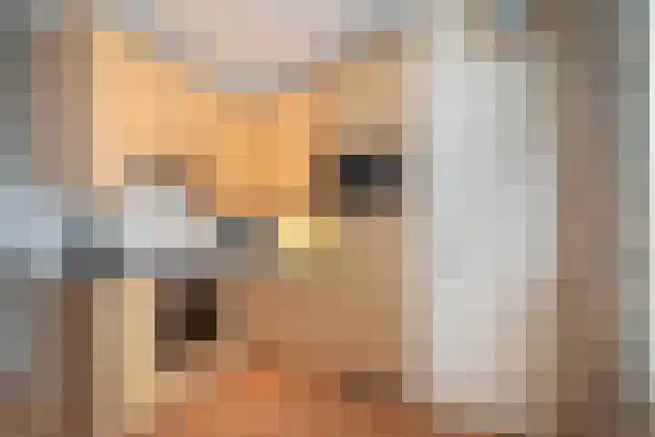 Beukenbosweg 60 Kerkrade thumbnail 7