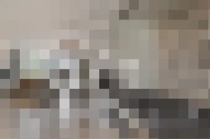 Beukenburg 6 Vleuten thumbnail 12