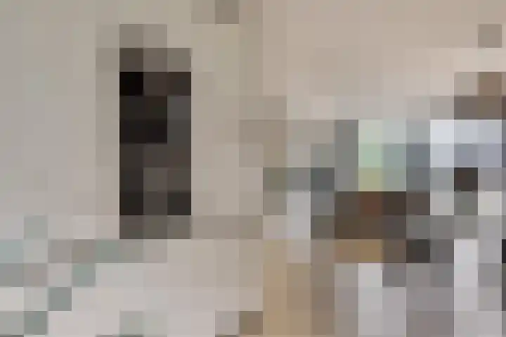 Beukenburg 6 Vleuten thumbnail 17