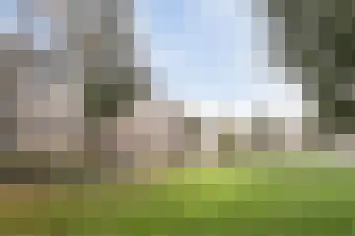 Beukenburg 6 Vleuten thumbnail 39