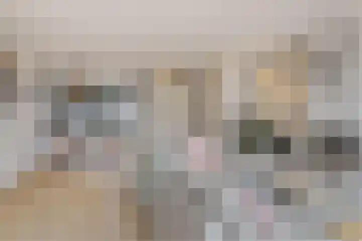 Beukenburg 6 Vleuten thumbnail 5