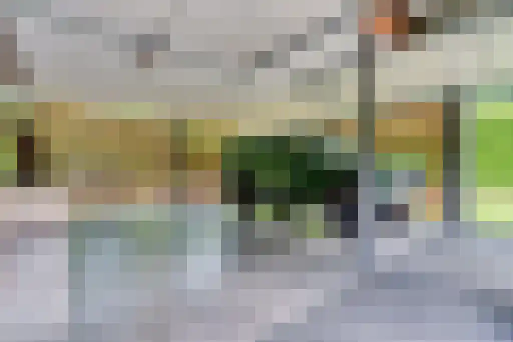 Beukenburgerlaan 65 Groenekan thumbnail 17
