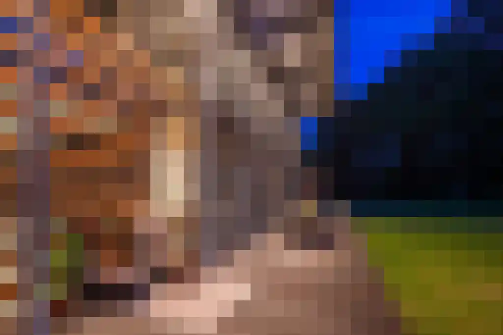 Beukenburgerlaan 65 Groenekan thumbnail 22