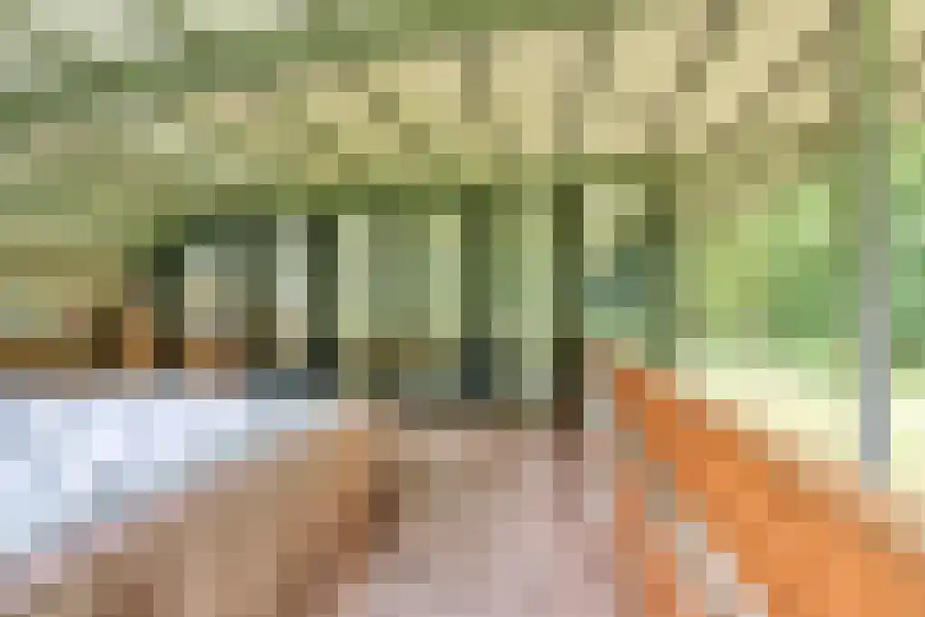 Beukenburgerlaan 65 Groenekan thumbnail 31