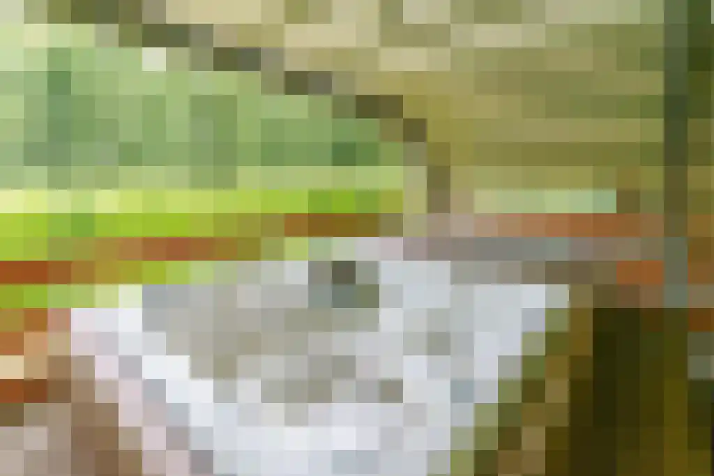 Beukenburgerlaan 65 Groenekan thumbnail 34