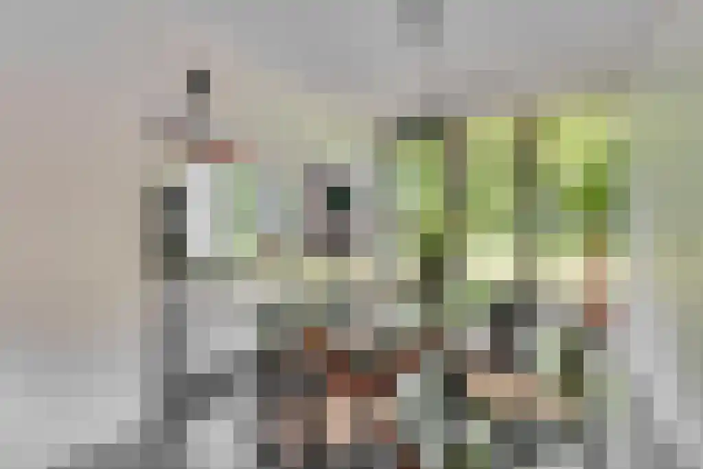 Beukenburgerlaan 65 Groenekan thumbnail 4