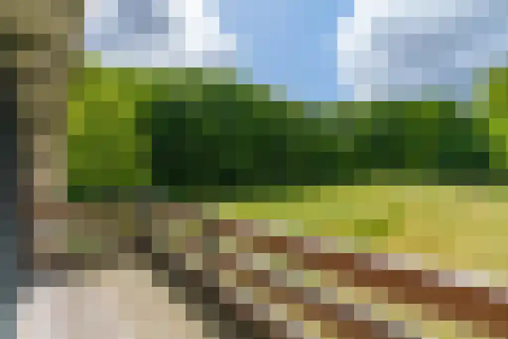Beukenburgerlaan 65 Groenekan thumbnail 41